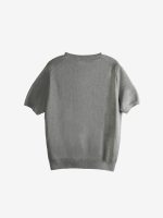 POLO RALPH LAUREN - Men Short Sleeve Crewneck Pullover Sweater - Image 6