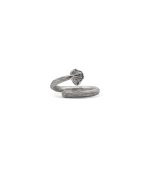 BERNARD JAMES - Fungi Laccaria Ring