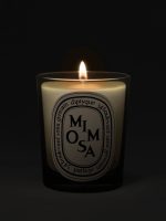 DIPTYQUE - Mimosa Classic Candle - Image 2