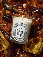 DIPTYQUE - Amber Classic Candle - Image 2