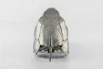 PARTS OF FOUR- Turtle Skull (Var Held Aggression, MZ) - Image 4