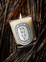 DIPTYQUE - Vanille Classic Candle - Image 3