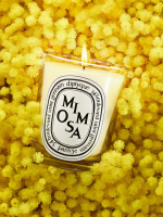 DIPTYQUE - Mimosa Classic Candle - Image 3