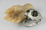 PARTS OF FOUR- Turtle Skull (Var Held Aggression, MZ) - Image 3