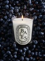 DIPTYQUE - Baies Small Candle - Image 3