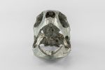 PARTS OF FOUR- Turtle Skull (Var Held Aggression, MZ) - Image 2